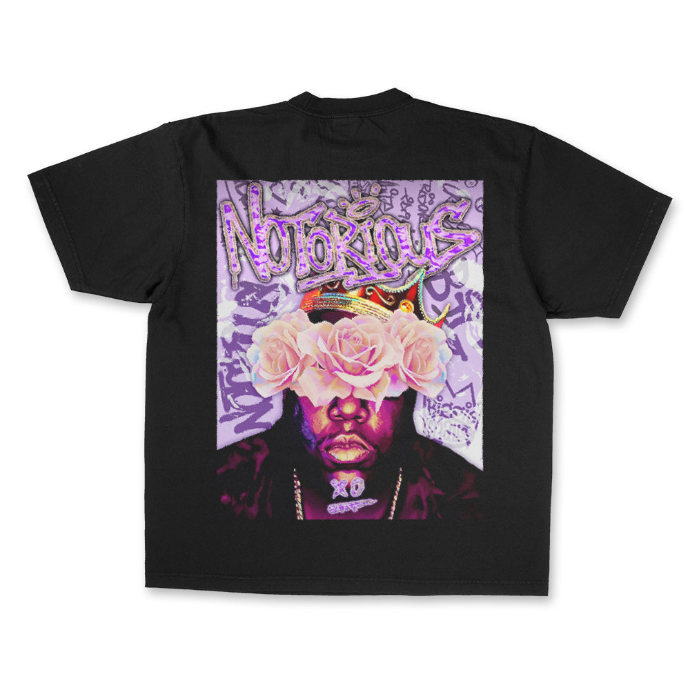 CAMISETA -  BIG