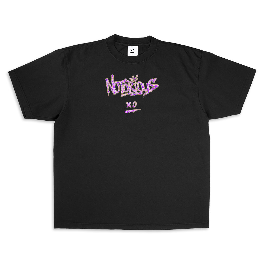 CAMISETA -  BIG